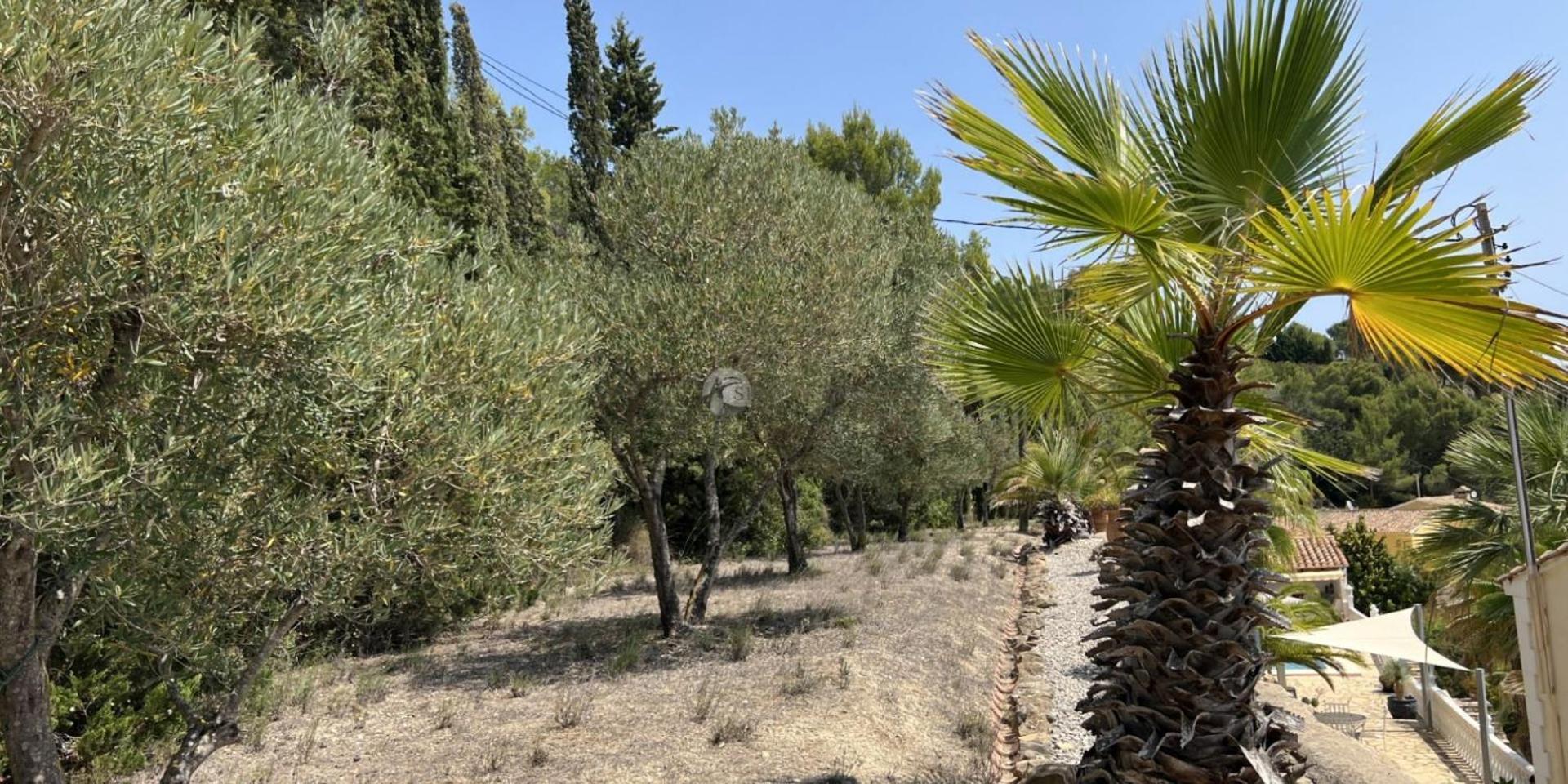 בניסה Villa Cost-A Blanca מראה חיצוני תמונה